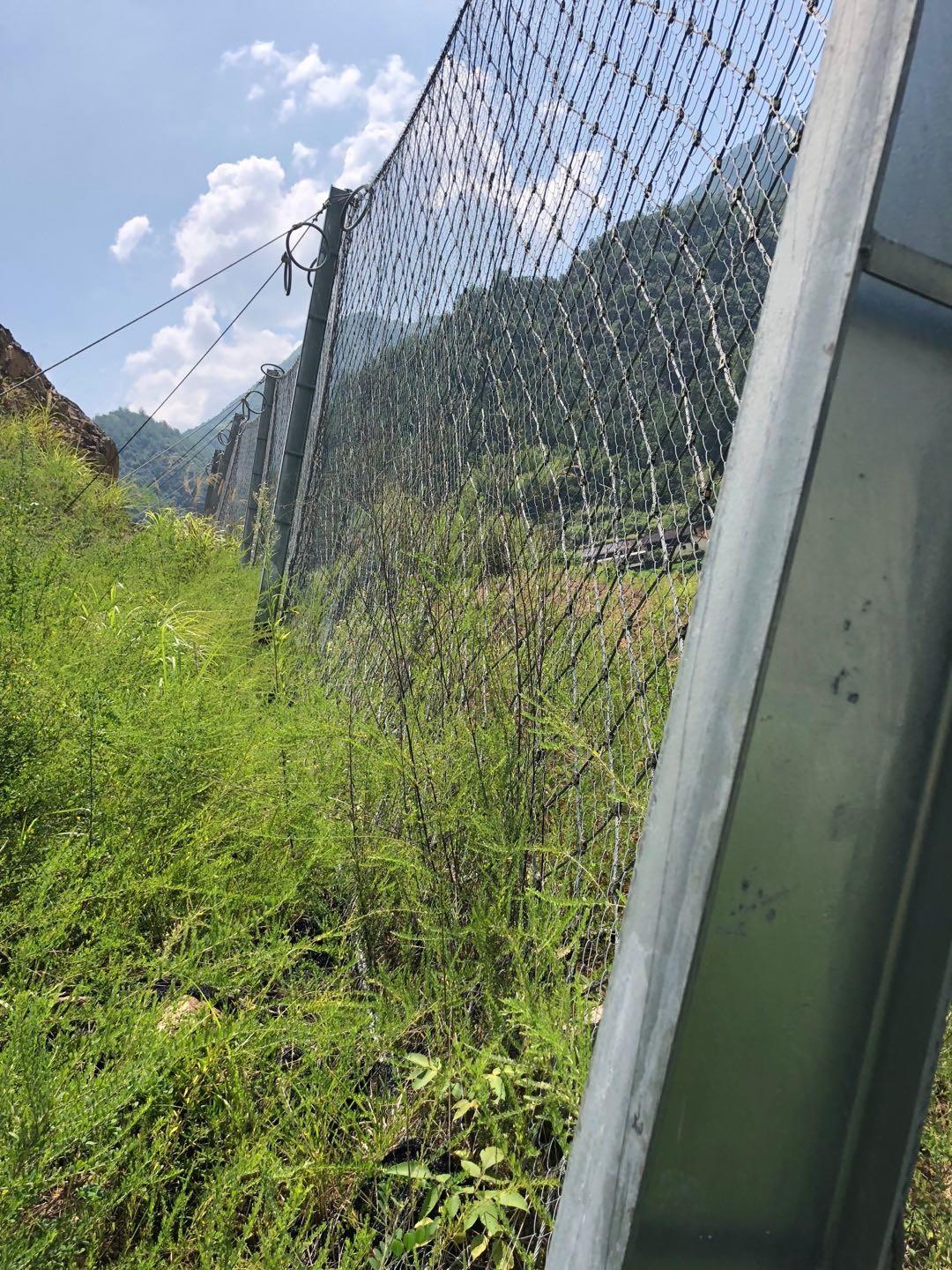 被動防護網實景網